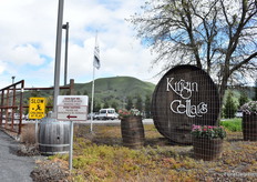 Proven Winners was presenting their varieties at Kirgin Cellars Winery in Watsonville. It is the fourth year, they are showcasing their products at this location.